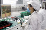 Vietnam should prioritize chip manufacturing, packaging: Japanese expert